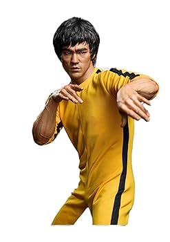 ブルースリー　パズル Amazon | ブルースリー -大人のためのジグソーパズルティーン